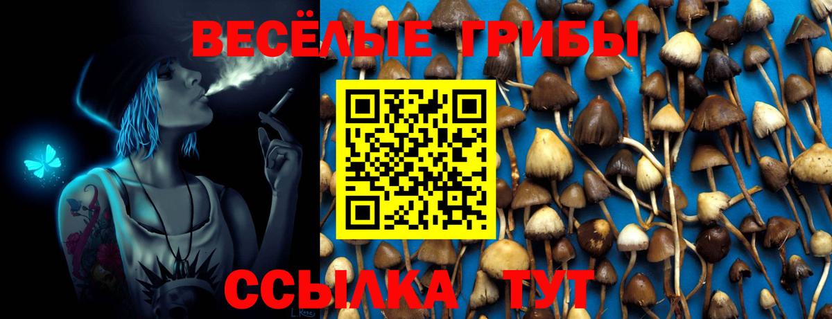 Мичуринск  Галлюциногенные грибы Magic Shrooms  Вход с VPN 